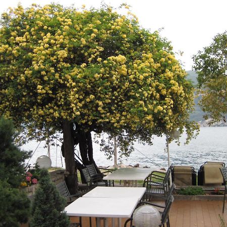 Piccolo Hotel Direkt Am See 布雷佐内加尔达 外观 照片